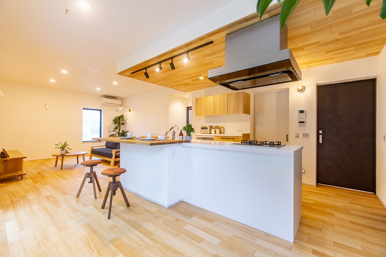 2025年サイトリニューアルに伴い、情報もボリュームアップ！ アイキャッチ画像