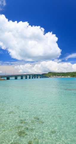 サイアスホーム　RECRUIT SITE　写真