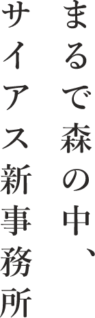 まるで森の中、サイアス新事務所