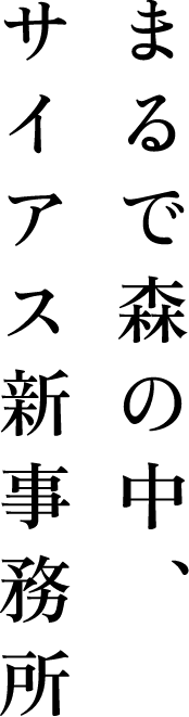 まるで森の中、サイアス新事務所