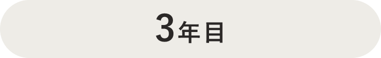 3年目